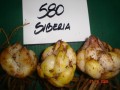 [Siberia 0.JPG]